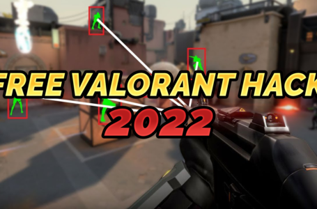 Free Valorant Hack 2022 (Tutorial)